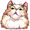 Funny cats 29