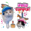 iFeliz
cUmple!
Dy brha
Persy