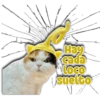 Hay
cada
Loco
suetto
Persy