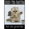 Así de mucho... Así de grande 24