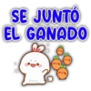 SE JUNTO EL GANADO