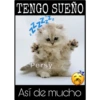 Así de mucho... Así de grande 25