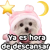 Perrito blanco(NORBERT) 29