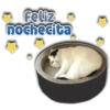 Feliz
nochecita
Persy