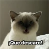 Michis  ‍ 1 5