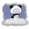 Soft Panda 6