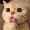 To