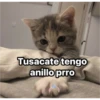 Michis  ‍ 1 7