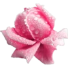 Pink Xmas*̣̥5  ️Clàsica 9