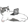 Michis Kawaii 7