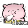 0
0°
Esme ૭
@
O
Charros