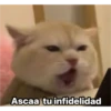 Michis  ‍ 1 8