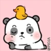 (
:)
@PIOJA
O