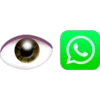 ƜӇƛƬƧƛƤƤ ЄMƠʆLƧ 6