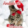 Andale si?
foraborcito..