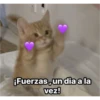 Michis  ‍ 1 9