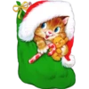 Natal verde 2 7