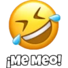 Variados Memes 5