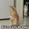 Michis  ‍ 1 11