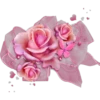 Pink Xmas*̣̥5  ️Clàsica 13