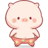 CERDITO bonito 5