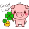 lindo cerdito1 10