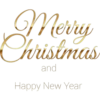 Navidad Golden 17