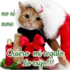 no sé
nose
Quiero mi regalo
Lo exijo!!!!