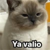 Michis  ‍ 1 12