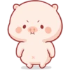 CERDITO bonito 6