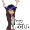 YA
LLEGUE