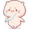 CERDITO bonito 7