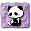 Soft Panda 12