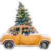 Navidad Golden 18