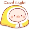 CERDITO bonito 8