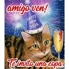 amigo ven!
HAPPY
NEW
YEAR
To truito una copa