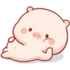 CERDITO bonito 9