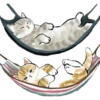 Michis Kawaii 12