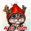 A
Soosoo!!!!