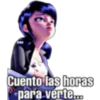 Cuento las horas
para verte...