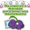 No esperes a
Navidad
para tener una
Nochebuena
PITU CHRISTMAS