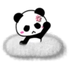 Soft Panda 16
