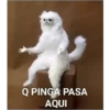 Variados Memes 14