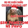 Navidad 15