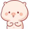 CERDITO bonito 10