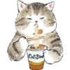 Cat Stal