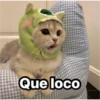 Michis  ‍ 1 15