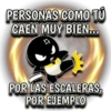 Pingüino nojao 14