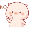 CERDITO bonito 11