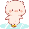 CERDITO bonito 12